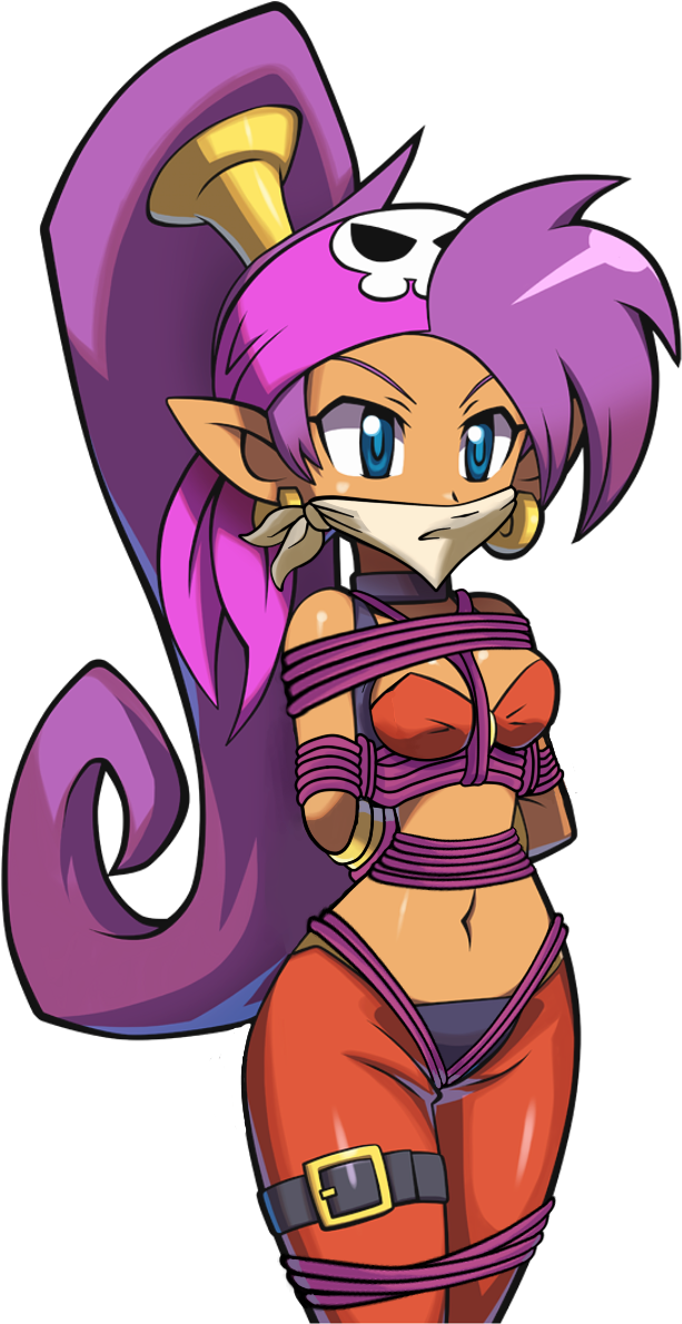 View Samegoogleiqdbsaucenao Pirate Shantae , (679x1231), Png Download