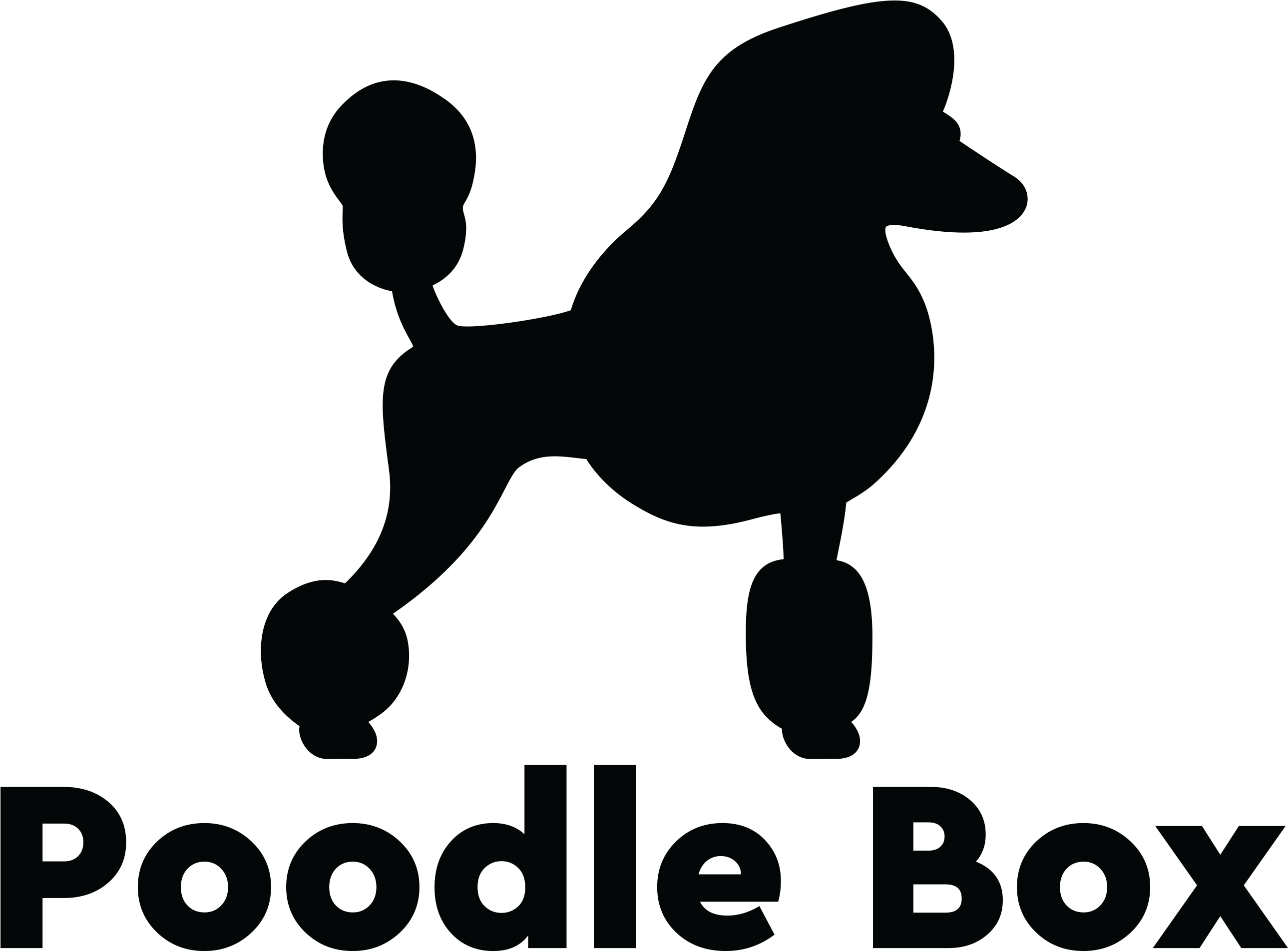 Poodle Box - Shop/product - Tail Poodle Vector (3000x3000), Png Download