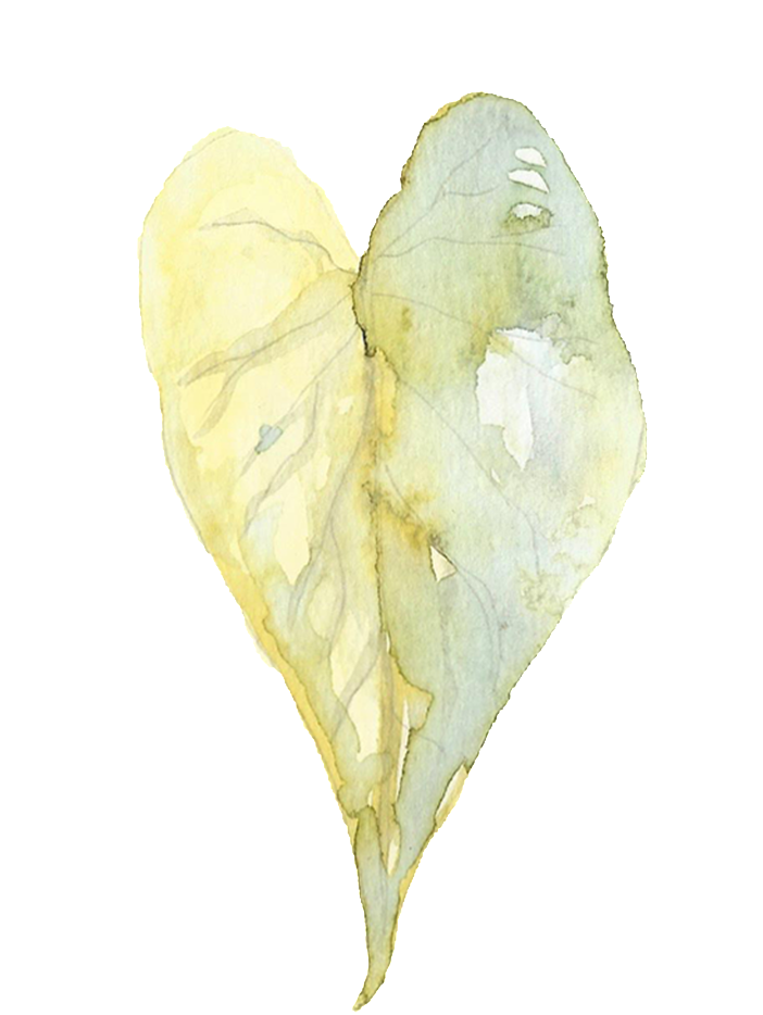 A Piece Of Bookmark Transparent Png - Heart (1024x1024), Png Download