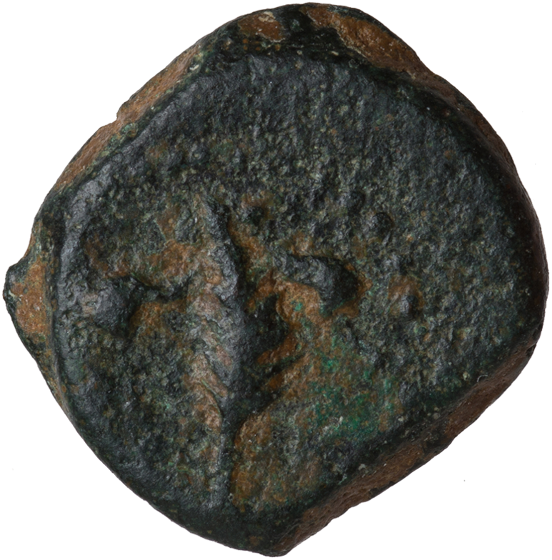 Palm Branch With Fillet - Artifact (800x800), Png Download