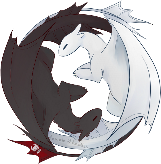 Httyd 3 - Night Fury And Light Fury (584x695), Png Download
