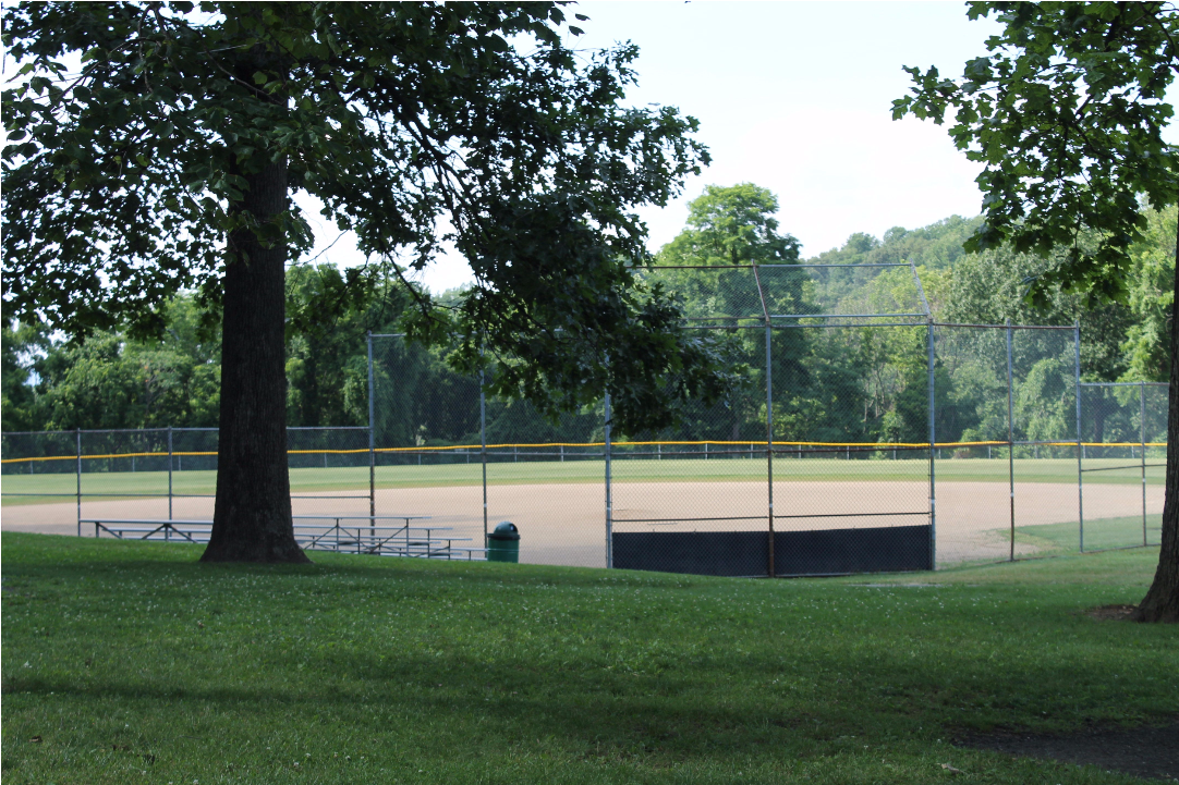 Jasper Park Has A Playground, Ball Field, Picnic Tables - Tree (1360x721), Png Download