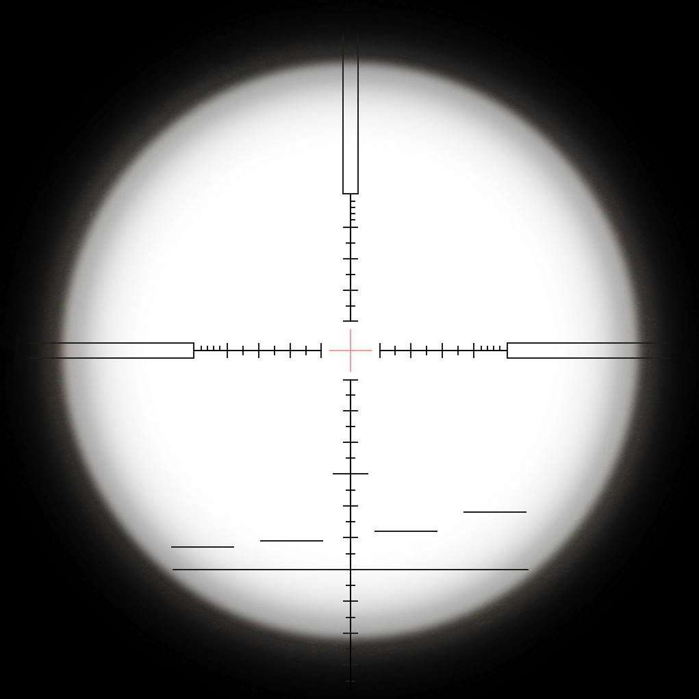 Circle (1021x1021), Png Download