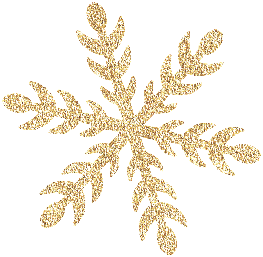 Simple Design Golden Snowflake Transparent - Elsa Y Ana Tiernas (1024x1024), Png Download