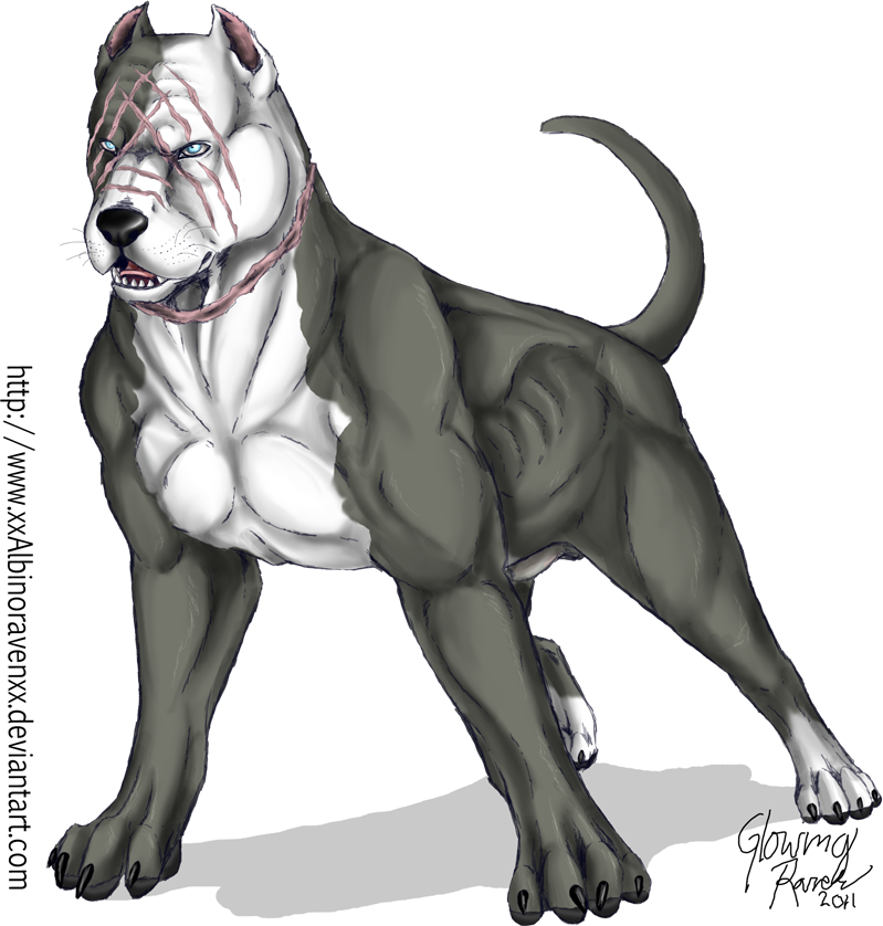Svg Free Stock Fredward The By Casualgee On Deviantart - Pitbull Muscle Drawing (799x838), Png Download