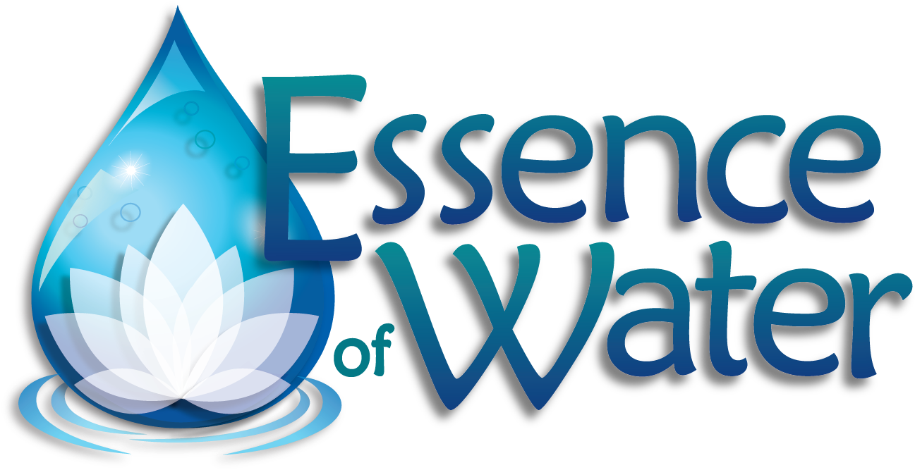 Logo (1339x701), Png Download