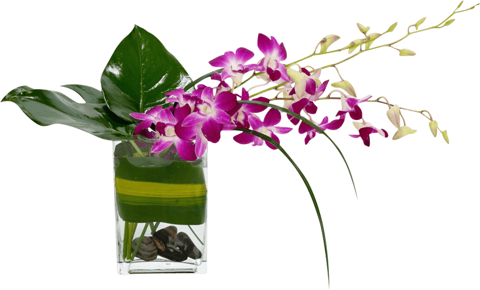 Tropical Breeze - Vase (1000x1200), Png Download