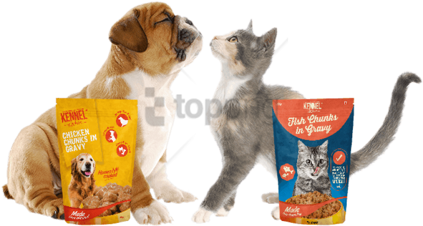 Dog Food - Dog Or Cat Food (681x372), Png Download