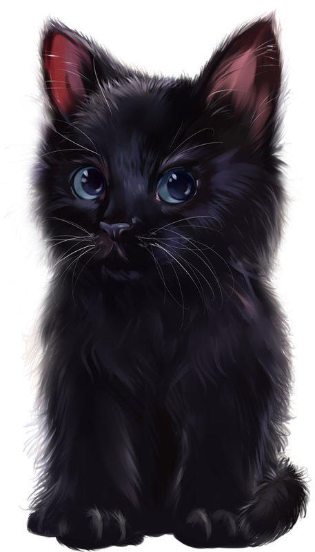 De Cat Drawing, Cute Animal Pictures, Cat - Imagenes De Gatos Negros Png (457x800), Png Download