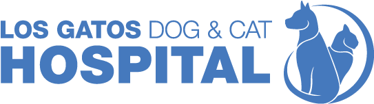 Logo Dog & Cat (650x192), Png Download
