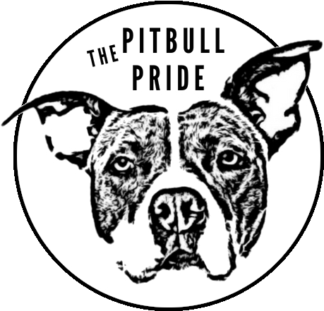 Pitbull Dog Pride Shop Store Jewelry Jewelery - Jewellery (475x446), Png Download
