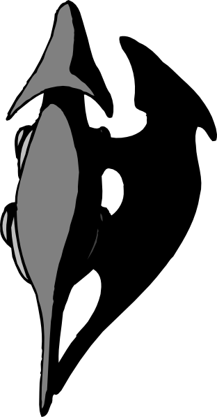 Dinosaur Top View Png (312x597), Png Download