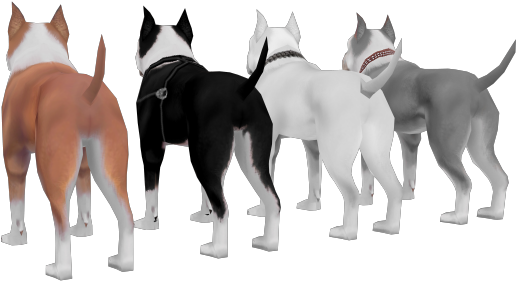 [req] Pitbull Dog - Old English Terrier (640x480), Png Download