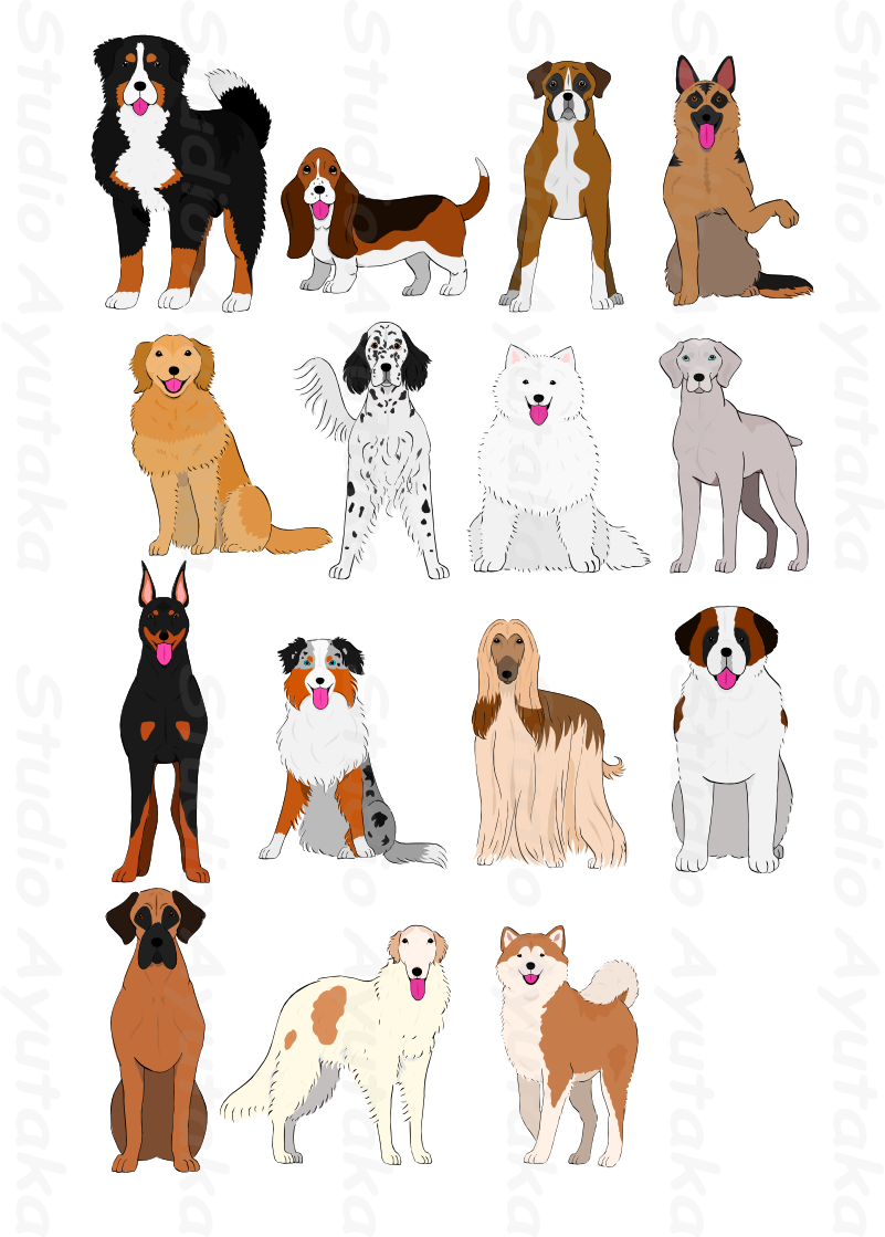 Dogs Clipart Watercolor - Dogs Chart (801x1119), Png Download