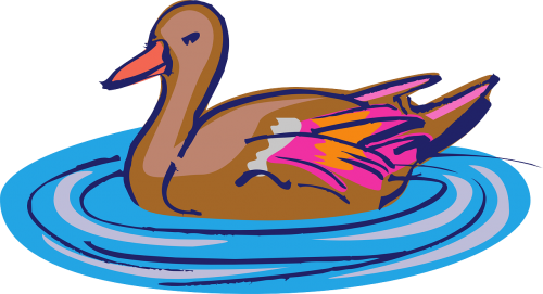Duck Swimming Clip Art (500x271), Png Download