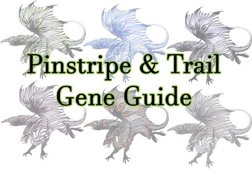 This Guide Is A Showcase Of The Pinstripe And Trail - Portable Network Graphics (525x350), Png Download