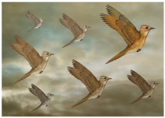 Journal Your Life's Story: Dreaming Of A Flock Of Birds (400x400), Png Download
