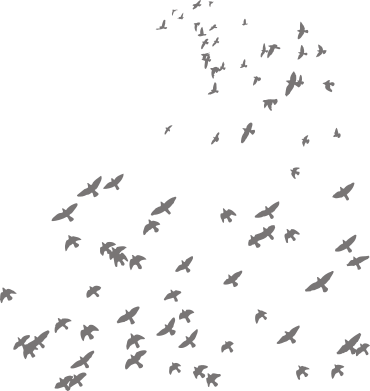 Contact Us - Flock (370x391), Png Download