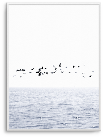 Atlantic Pt Atlantic Pt - Seabird (476x600), Png Download