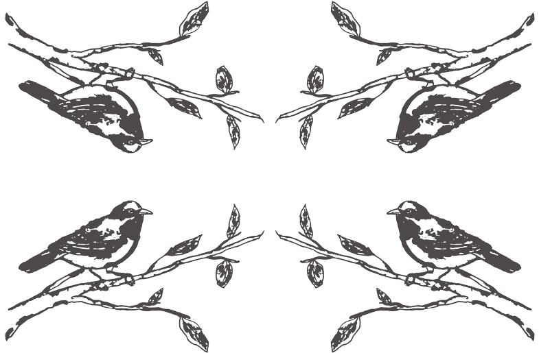 Bird Fabric - Bird Drawing - Bird Custom Fabric By (800x534), Png Download