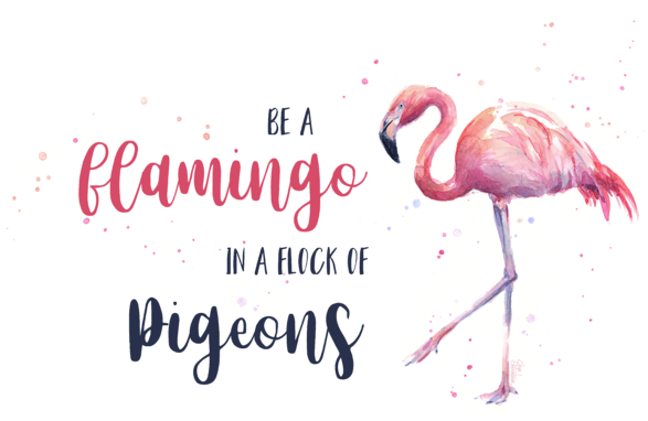 Click And Drag To Re-position The Image, If Desired - Flamingo In A Flock Of Pigeons Hd (600x428), Png Download