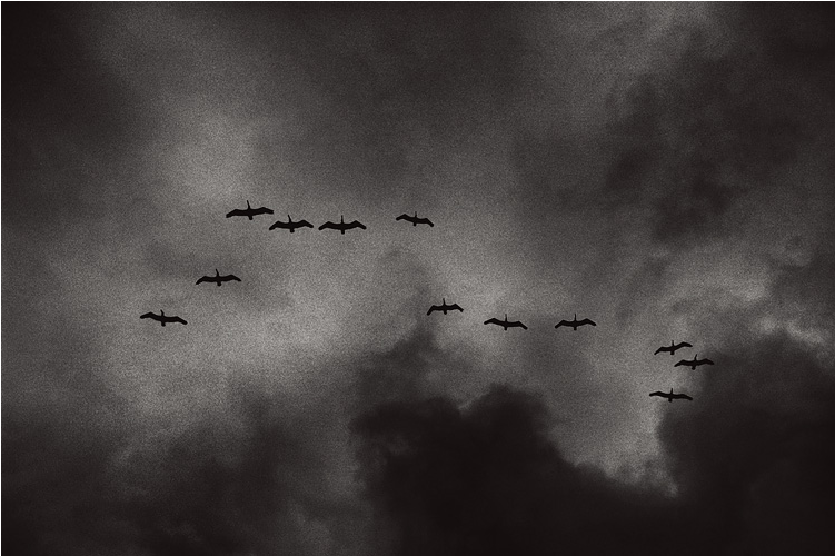 When The Bookkeeper Asked The Old Man A Question About - Monochrome (750x1011), Png Download