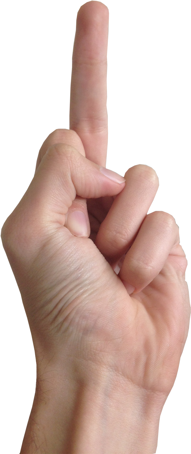 Fingers Png Images All - Finger (1024x1974), Png Download