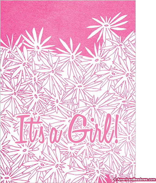 It's A Girl Seed Packet - Motif (600x600), Png Download