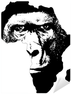 African Union (400x400), Png Download