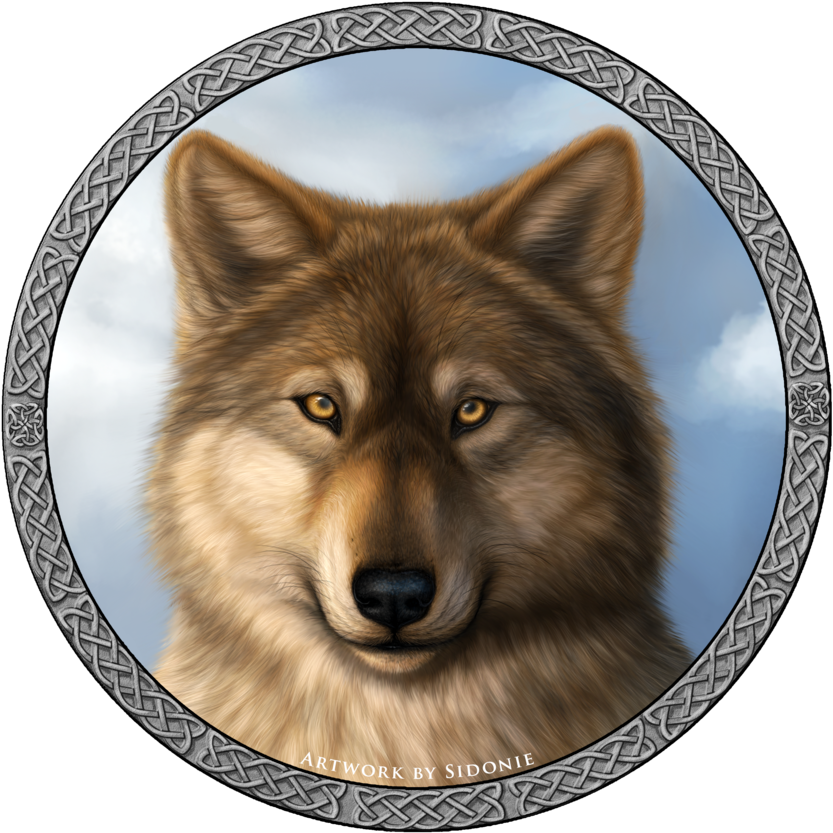 Wolf Head Free To Use By Sidonie-d8qo40b - Wolf (894x894), Png Download