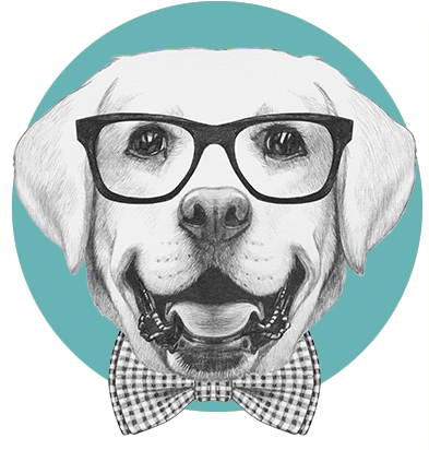 Groom Service Dogs Regina - Pets With Glasses Png (500x500), Png Download
