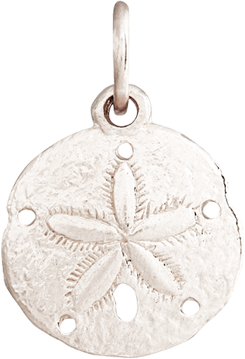 14k White Gold Sand Dollar Mini Charm (496x524), Png Download