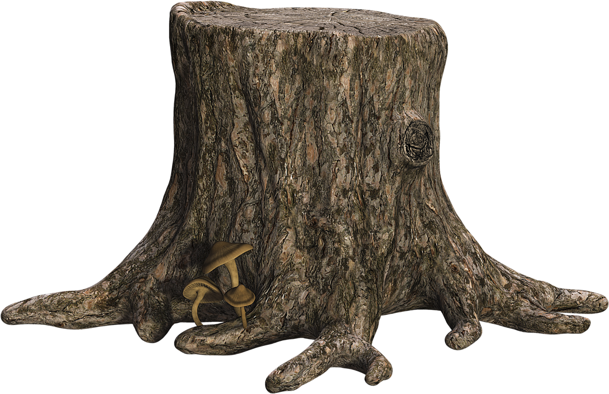 Tree Stump Png (1280x839), Png Download