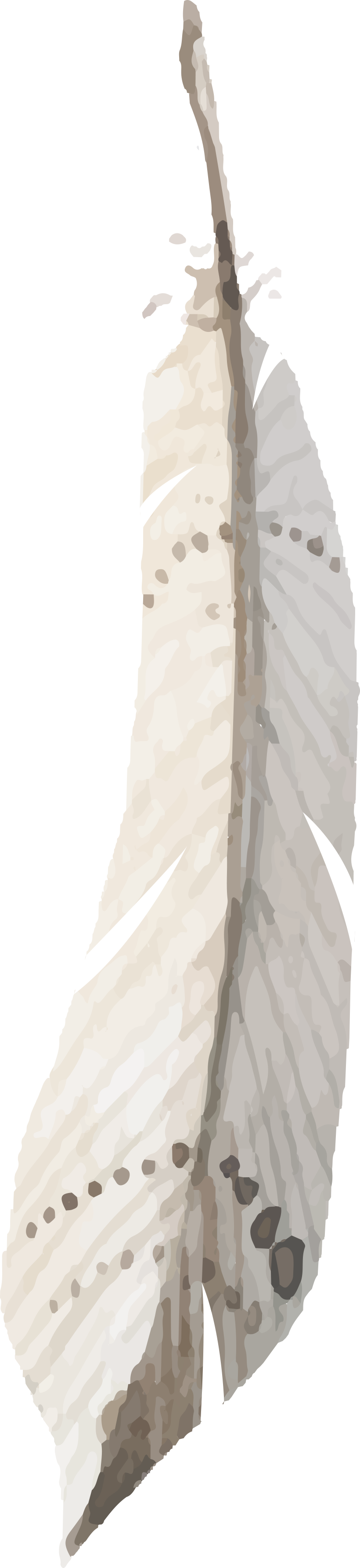 1 - Posterazzi Feather On Black 2 Poster Print (820x3567), Png Download