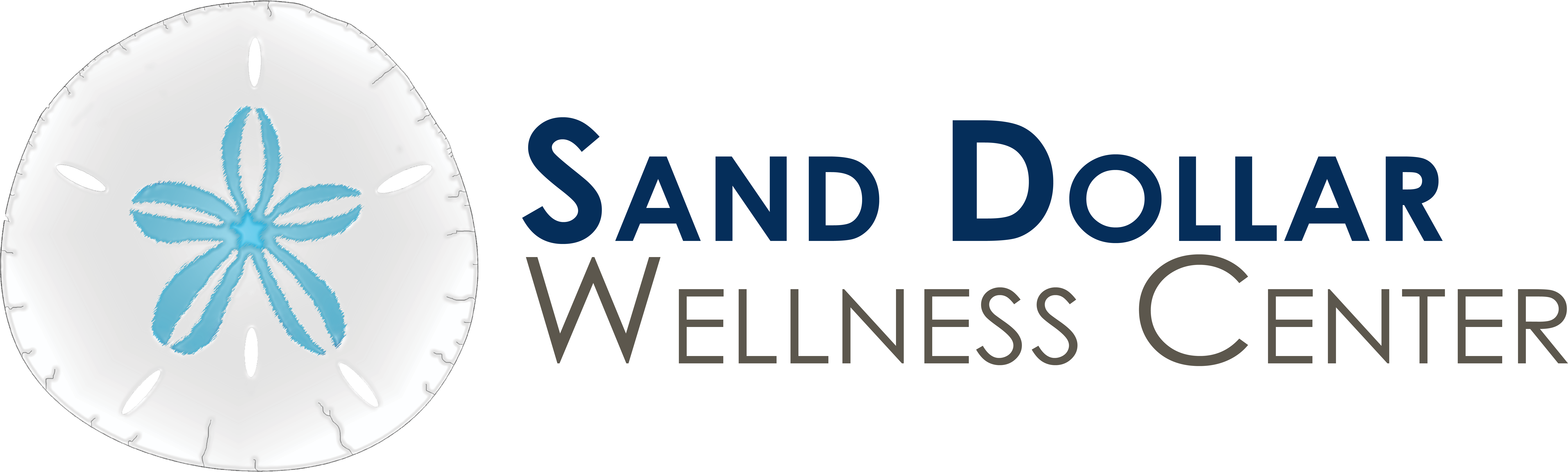 Sand Dollar Png (10800x5400), Png Download