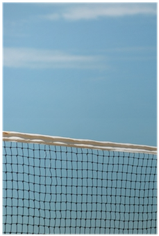 Net (400x400), Png Download