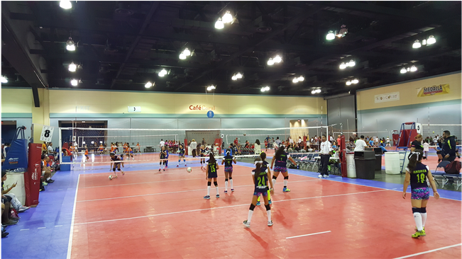 Dynamite Volleyball Club Tampa (960x365), Png Download