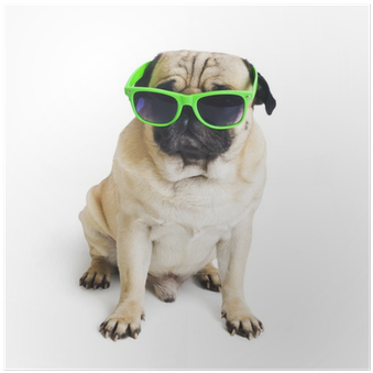 Photograph (400x400), Png Download