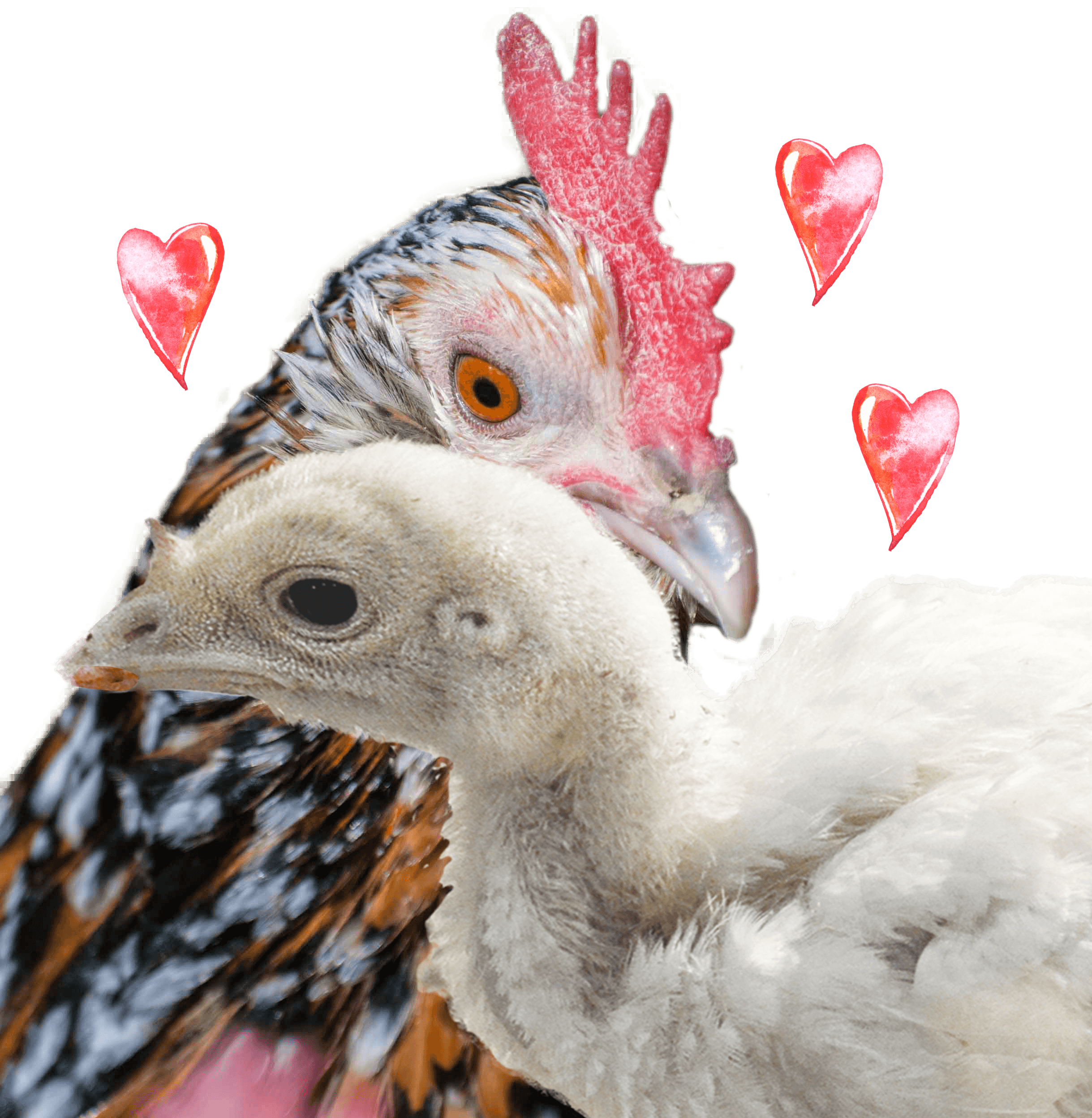 Be A Fierce Millie - Child (2438x2496), Png Download