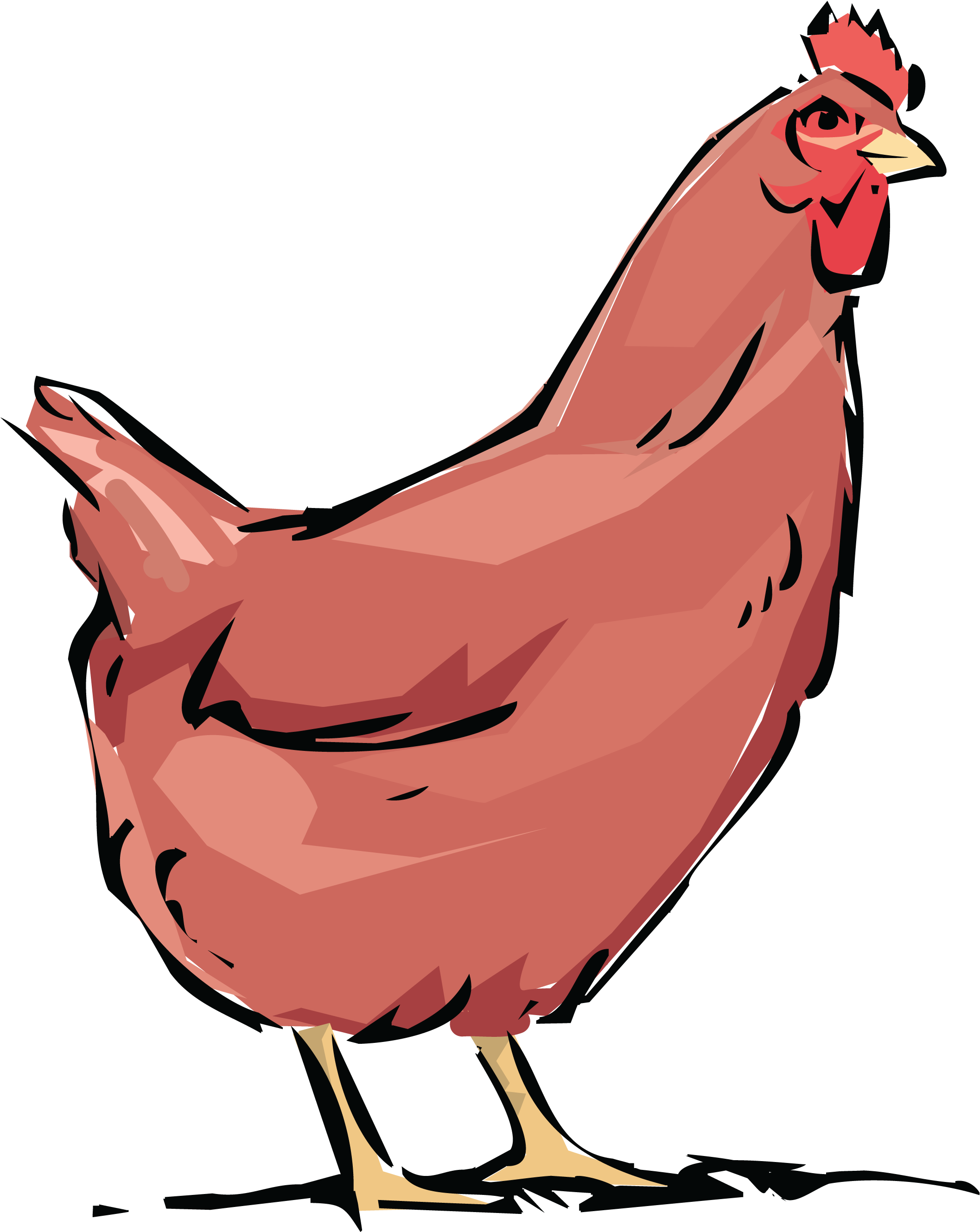 , , - Hen And Rooster With Chickens Tote Bag, Adult Unisex, (4000x4000), Png Download