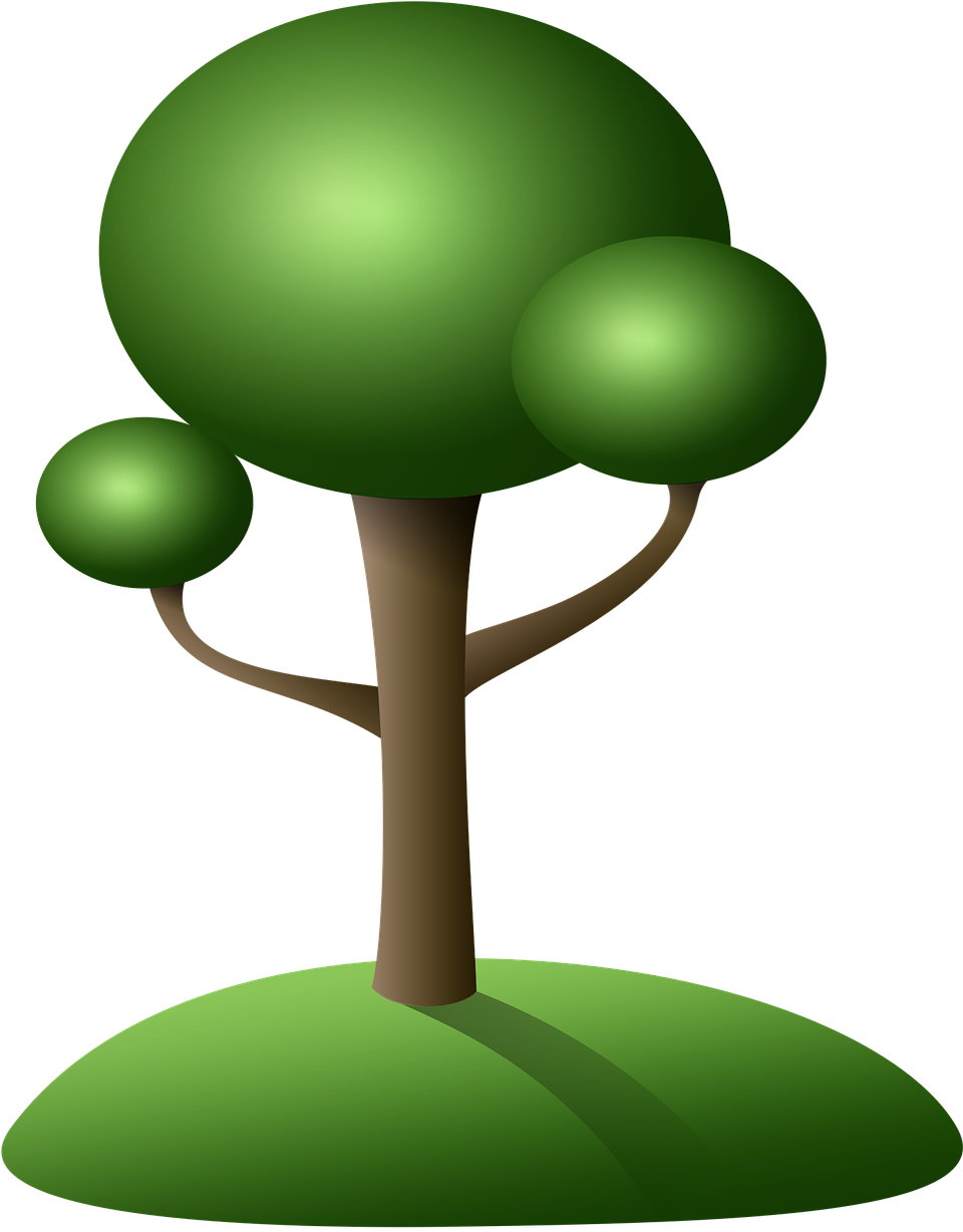 ต้นไม้ การ์ตูน Png (959x1280), Png Download