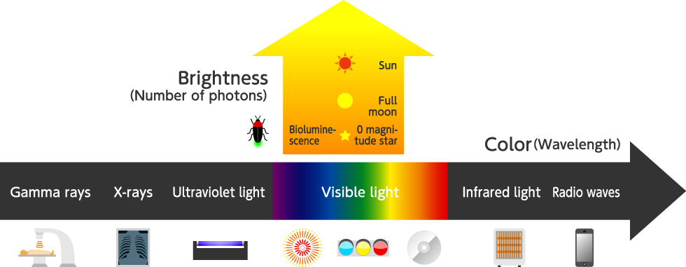 State Of Light - Light Wavelength Png (980x381), Png Download