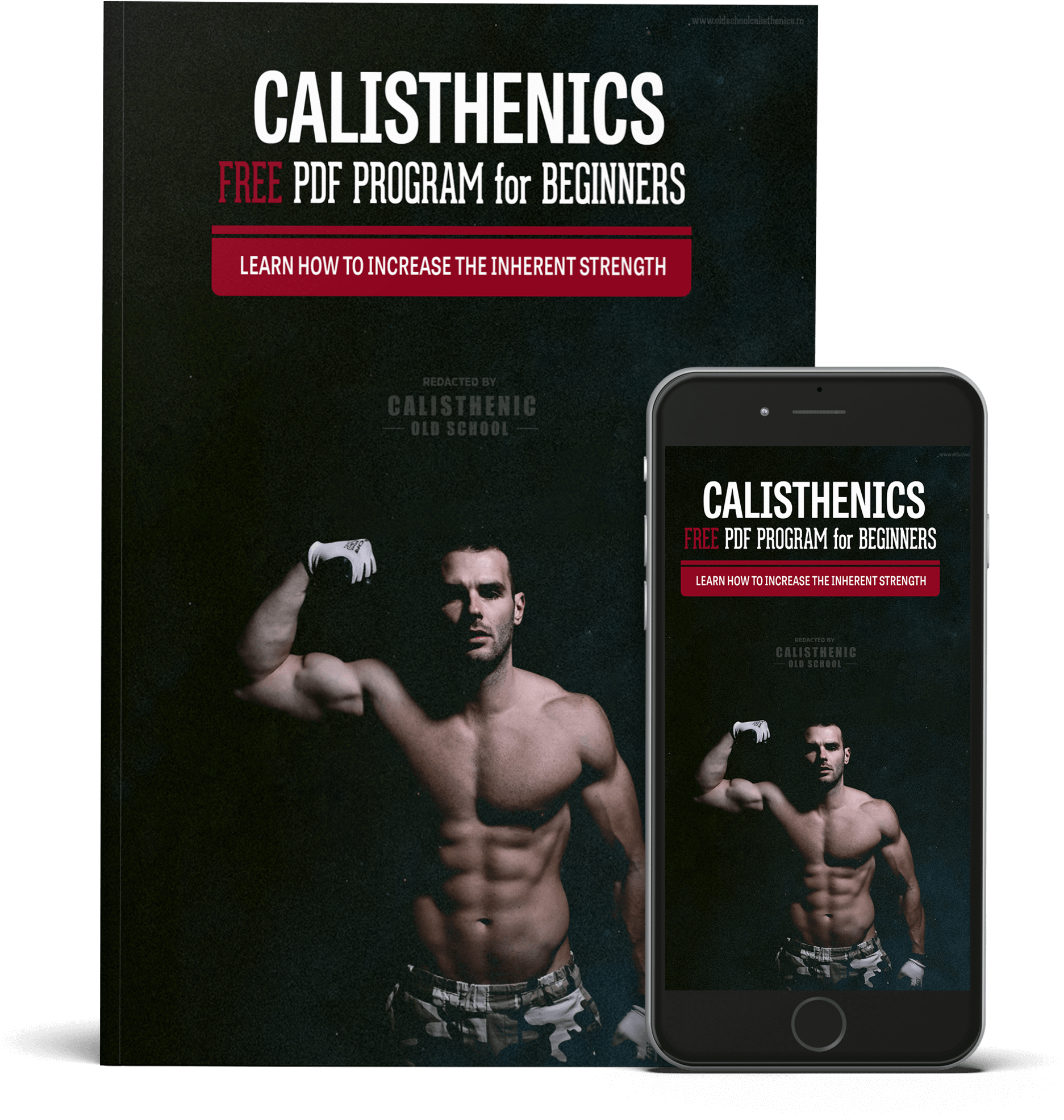 Available As Pdf For Any Device - Old School Calisthenics (2048x2048), Png Download