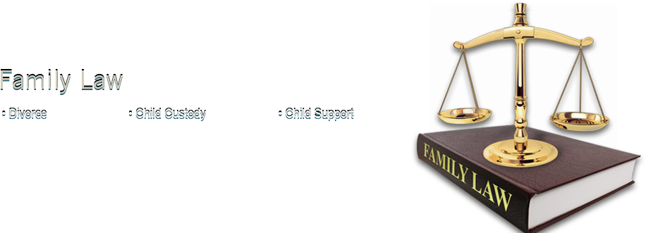 Prairieville Lawyer Gonzales Attorney Prairieville - Lawyer (1024x336), Png Download