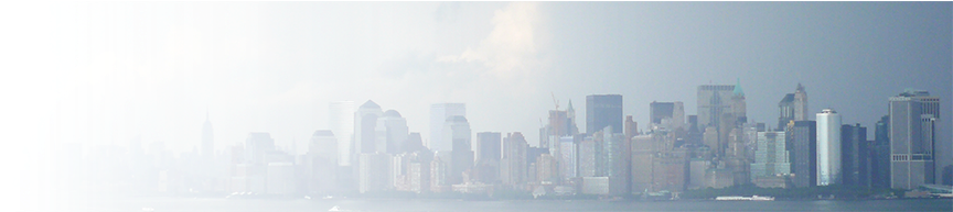 Nyc Portal Header Right - Portal Header (873x192), Png Download
