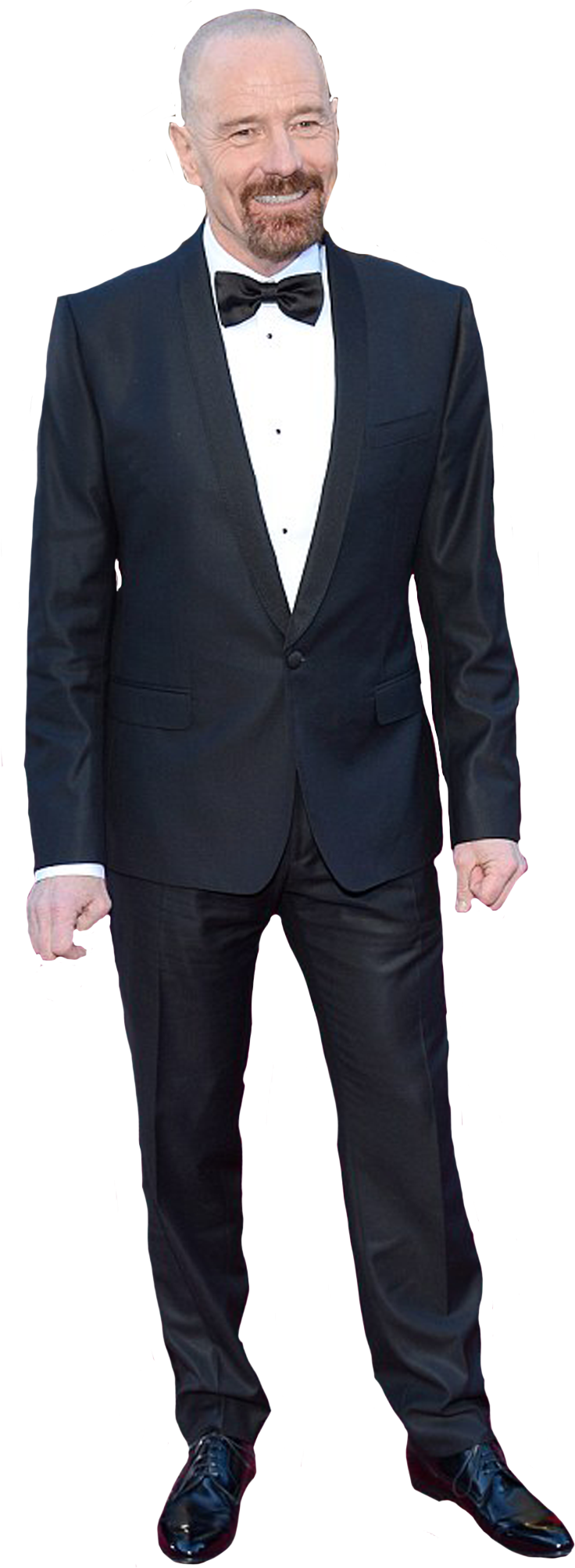 Walter White Png (1754x2480), Png Download