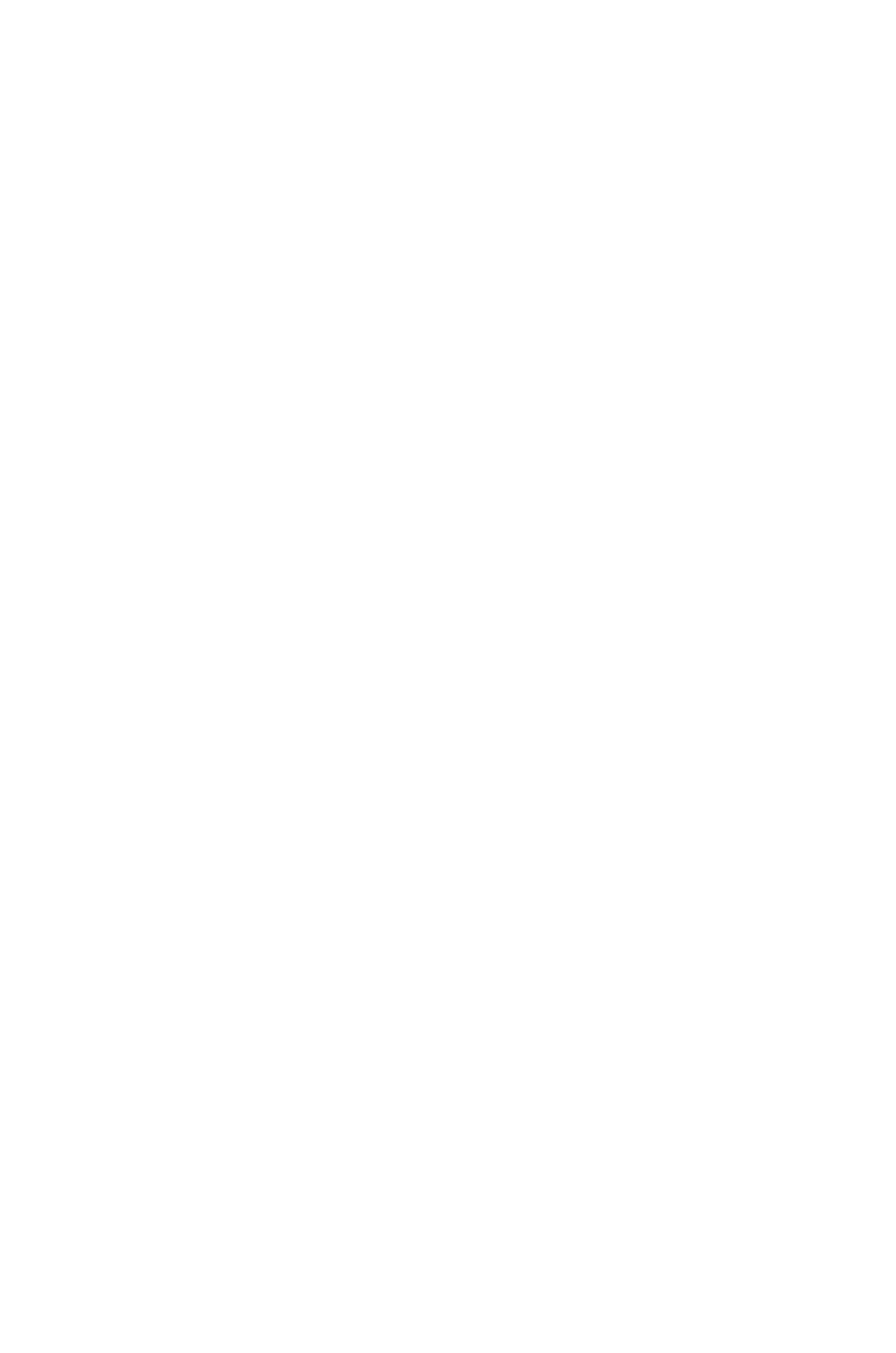 Light Effect White Transparent Png Image - Twitter White Icon Png (5296x8000), Png Download