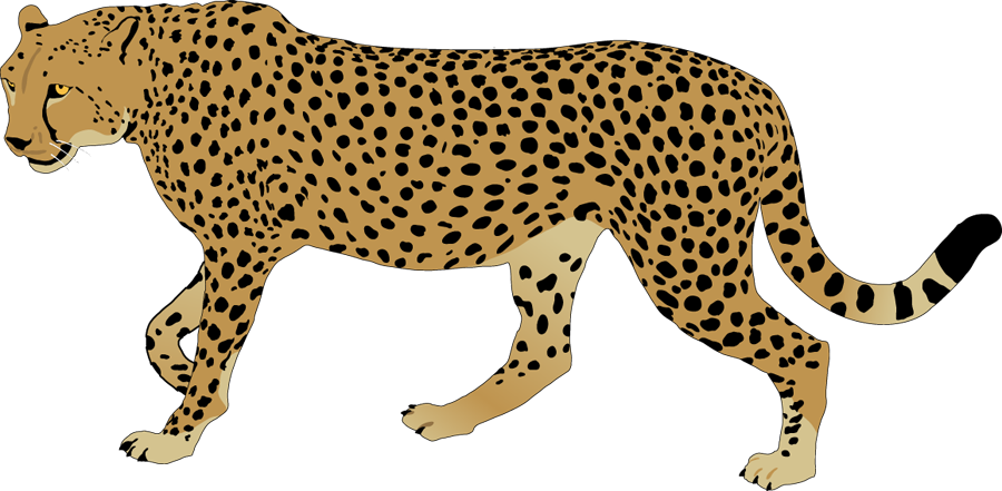 Cheetah Clipart - Clipart Image Of Cheetah (640x314), Png Download