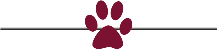 Paw-divider - Circle (716x183), Png Download