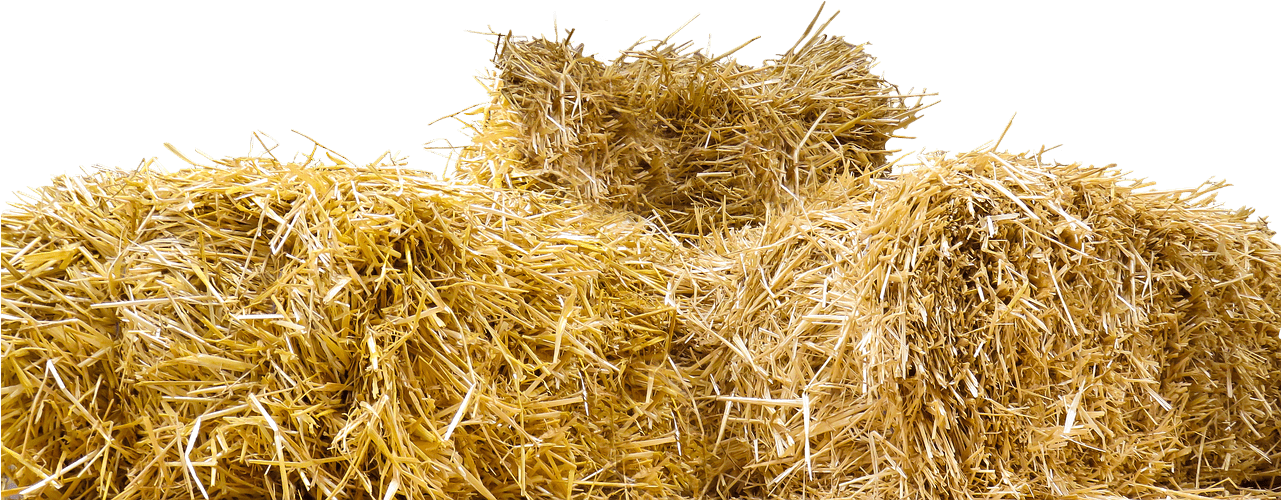 Top Of Straw Bales - Bale Of Hay Png (400x400), Png Download